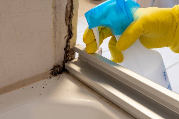 Best Residential Mold Inspection & Testing  in Dandridge, TN